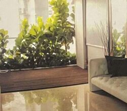Angullia Park Residences @ Orchard (D10), Apartment #573492081